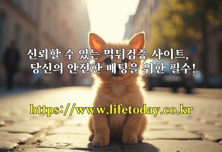 신뢰할 수 있는 먹튀검증 사이트, 당신의 안전한 배팅을 위한 필수!
